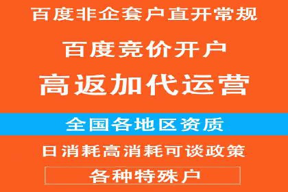搜索开户返点揭秘：成功案例教你赚钱
